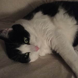 Meet your Posher, Sam